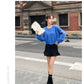 Autumn Winter Women's Knitted Pullovers Sweater O-NECK Lantern Sleeve Mink Cashmere Thick Keep Warm