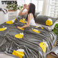 1pcs Winter Coral Fleece Blanket Flannel Blanket Blanket Thickening Student Single Bed Air Conditioning Towel Quilt
