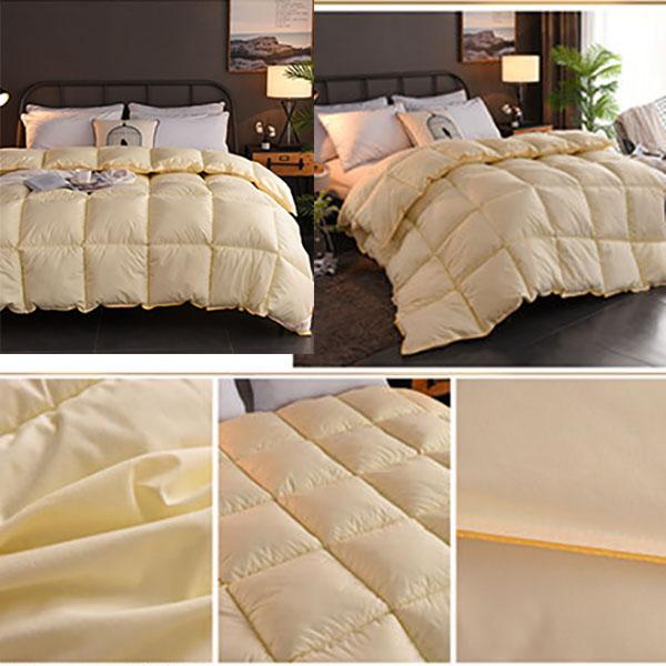 Thick and Warm Winter Duvet White Goose Down 4/5kg Single Double Spring Duvet