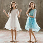 Girls' Dress 5-sleeve Summer Korean Style Version Children's A-line Princess Skirt Children's Mesh Skirt