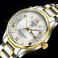 Mechanical watches men luxury waterproof automatic mechanical watches luminous classic business watches