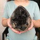 Large Septarian Nodule Natural Dragon Septarian Geode Quartz Egg Cluster Crystal  Healing Crystal Specimen 1pc