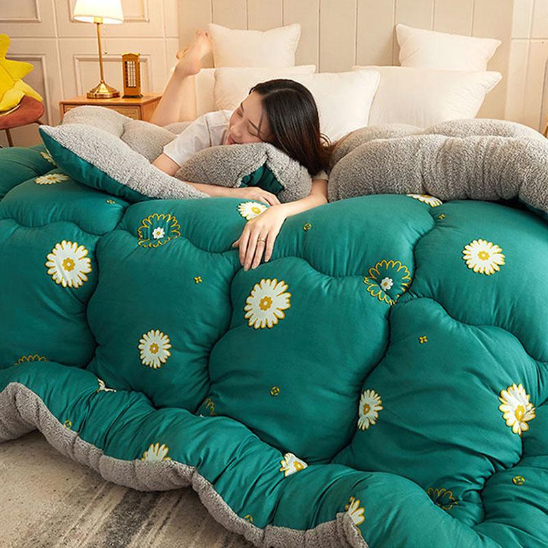 Winter Thick 5kg Lamb Velvet Quilt Spring and Autumn Single and Double Air Conditioning Quilt To Keep Warm In Winter