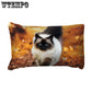 3pcs Cute 3D Autumn Cat Cat Print Duvet Cover Pillow Case Zipper Kids Bedding Set Bedclothes
