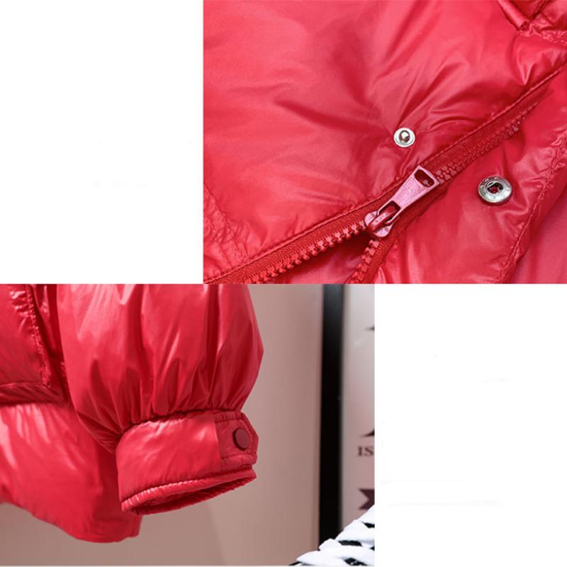 Women's Shiny Short Down Jacket Winter Korean Style Loose Quilted Jacket Casual Stand-collar Padded Jacket