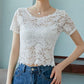 Lace Bottoming Shirt Women's Summer Short Tube Top Inner Top Thin Outer Wear Sexy Lace Hollow Shirt