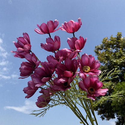 Simulation Small Cosmos Art Fake Flower Bouquet Wedding Photo Props Decoration Decoration Indoor