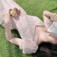 Female Blue Pink Halo Dyed Mesh Elegant Holiday Dress Vintage Slim Super Fairy Bandage Party Dress