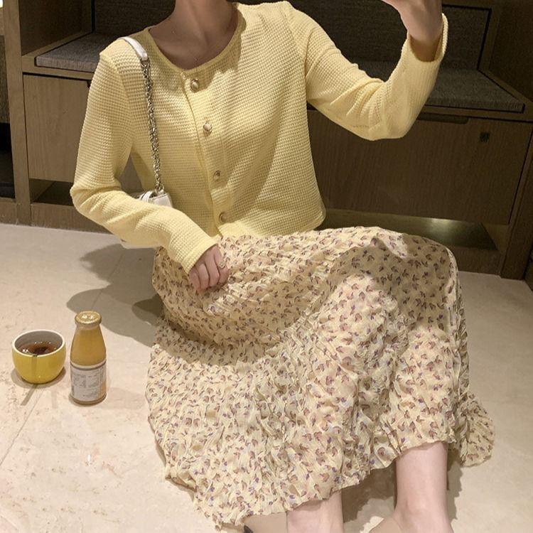 Long Skirt Summer Women's Korean Version of The Popular Elastic High Waist Floral Chiffon Skirt