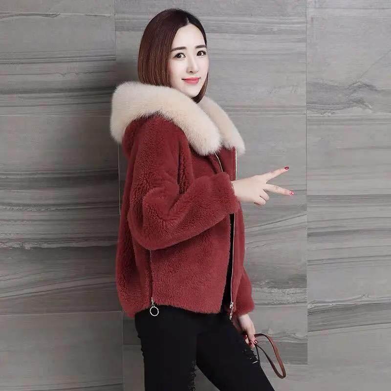 Fur Coat Women's Faux Sheep Shearing Hooded Women's Short Autumn and Winter Models of Fleece Fleece Coat