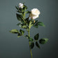 Bulgarian Rose Bouquet Simulation Flower Bone Photo Props Fake Flowers Home Table Decoration Living Room Decoration