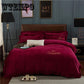 4pcs Soft Velvet Flannel Bedding Set Winter Warm Fleece Duvet Cover Set Bed Sheet Queen Size