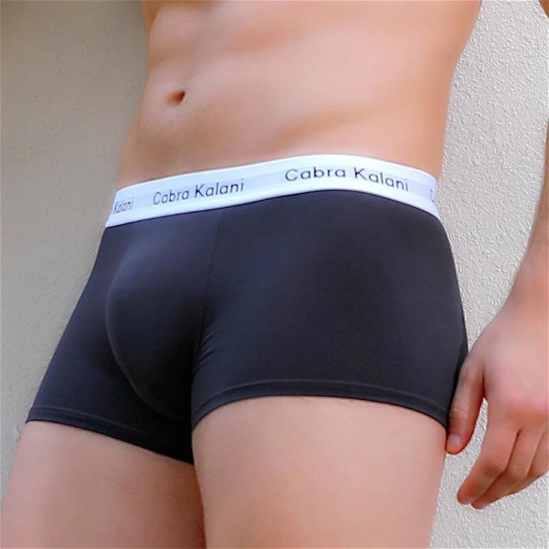 4 Pieces Men's Underwear Modal Boxer Solid Color Ice Silk Sports Comfortable Boxer Briefs Gift Box Packaging Mid Waist Underpants Breathable Panties