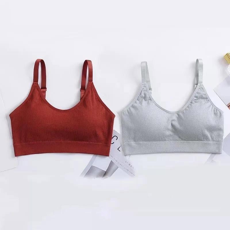 Two-piece Sports Beauty Back Tube Top No Steel Ring Camisole Gathered Anti-shrinking Wrap Chest Can Be Worn Outside Women's Underwear Bra