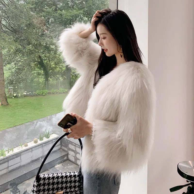 Fox Fur Coat Women's Short Autumn and Winter Korean Version of Haining Imitation Mink Down Fur Coat