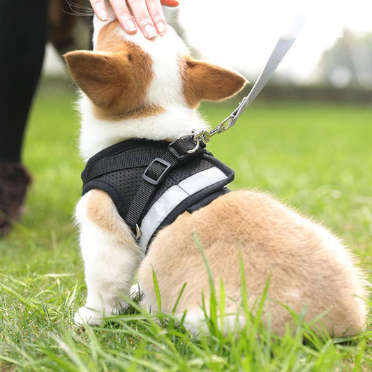Vest-style Dog Leash Small Dog Pet Chest Harness Teddy Pomeranian Out Walking Dog Rope Dog Leash