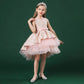 Lace Embroidery Formal Sleeveless Wedding Gown Tutu Princess Dress Flower Girls Children Clothing Kids Party for Girl Clothes