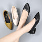 Thick-heeled Single Shoes Female Mother Shoes Flat Work Shoes Pointed Toe Women's Shoes Low-heel Pumps