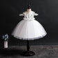 Dress Girls Costumes Princess Flower Girl Dress Children Dress Girl Sleeveless Tutu Skirt