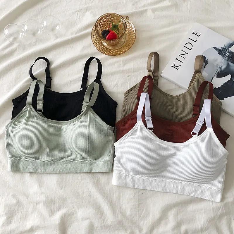 Two-piece Sports Beauty Back Tube Top No Steel Ring Camisole Gathered Anti-shrinking Wrap Chest Can Be Worn Outside Women's Underwear Bra