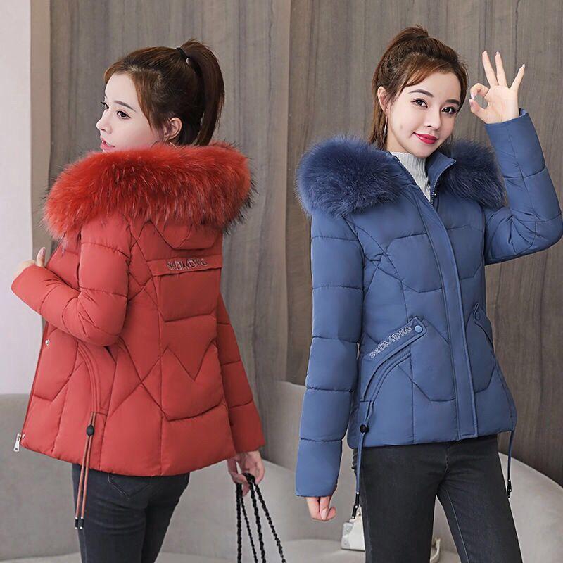Women's Short Slim Slimming Down Padded Jacket, Detachable Big Fur Collar, Fashion Winter Small Padded Jacket