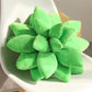 Cute Soft Plush Succulents Throw Pillow Simulation Cartoon Plant Plush Toy Kawaii Pillows Office Rest Cushion Soft Stuffed Doll Gift For Girls