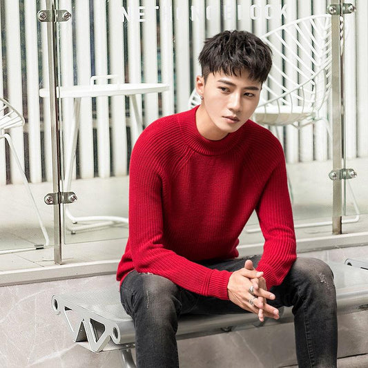 Winter High Neck Warm Sweater Men Turtleneck Brand Mens Sweaters Slim Fit Pullover Men Knitwear Male
