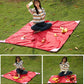 Outdoor Moisture-proof Mat Picnic Mat Pocket Picnic Cloth Convenient Waterproof Ultra-light Lawn Folding Beach Mat