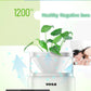 Anion mini mini Air Purifier Bedroom Office in addition to formaldehyde and odor comfort
