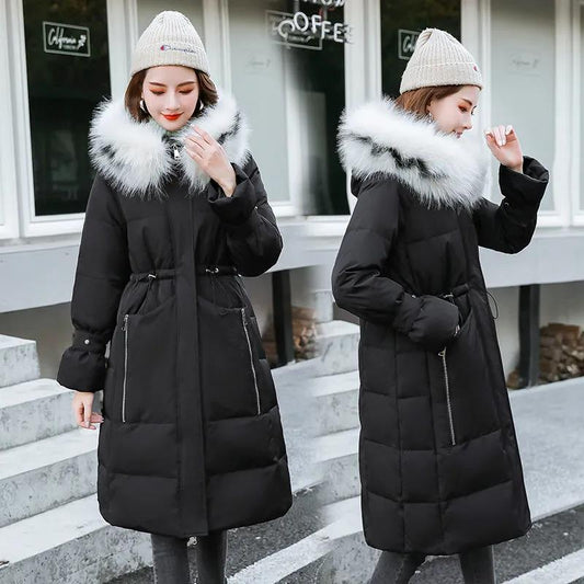 Winter Down Jacket Korean Style Slim-fit Large Fur Collar Hooded Cotton-padded Coat Women's Mid-length Plus Size Over-the-knee Down Coat