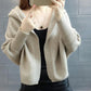 Hooded Sweater Winter Thickening Long-sleeved Loose Casual Fashion Bat Shirt Blouse
