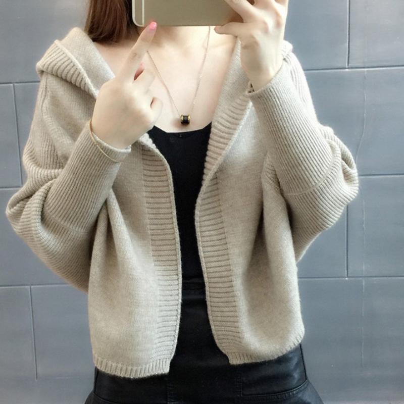 Hooded Sweater Winter Thickening Long-sleeved Loose Casual Fashion Bat Shirt Blouse