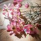 Artificial Flower Cosmos Fake Flower Suit Floral Landscaping Fresh Gift Pastoral