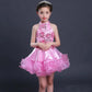 Children's Princess Dress Girls Evening Dress Flower Girl Student Performance Dress Tail Wedding Dress Tutu Dance Costume