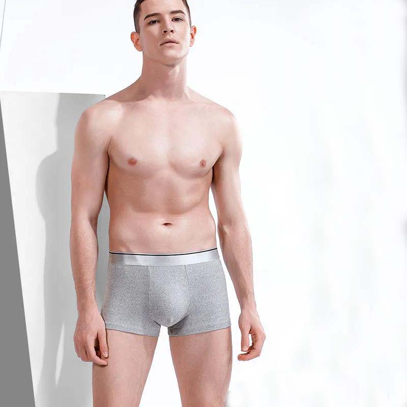 Men's Boxer Shorts Cotton Plus Size Breathable Underwear