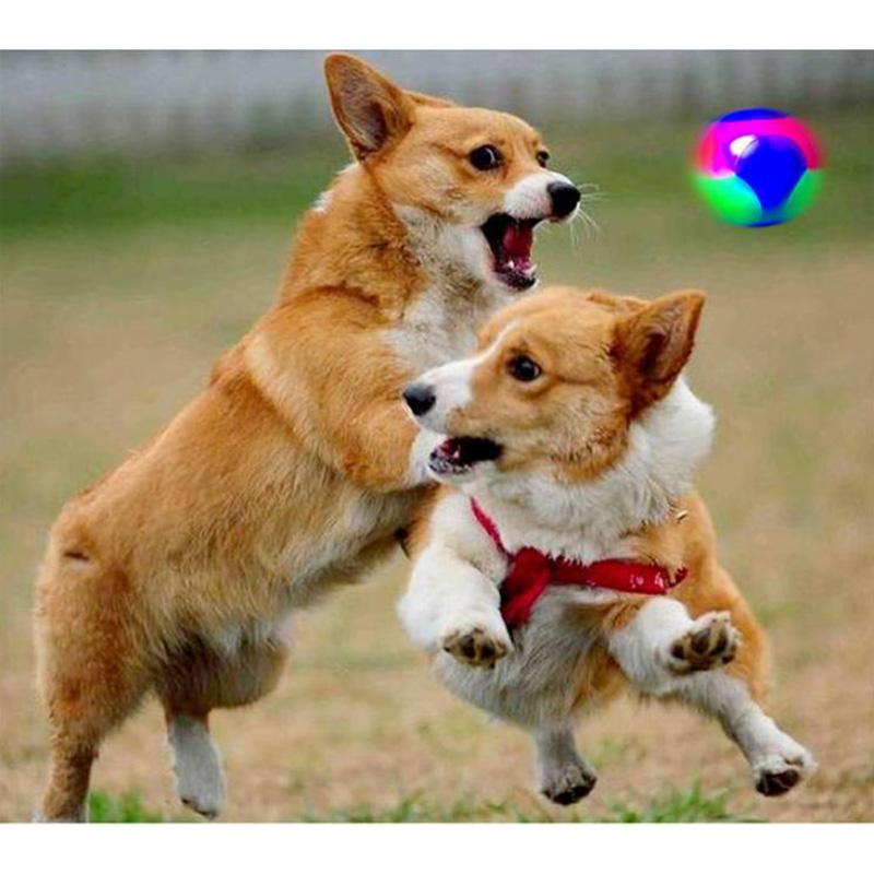 Pet Toy Luminous Ball Elastic Bite Resistant Cat and Dog Teddy Golden Retriever Toy Ball Dog Training Tool Spherical Toy Outdoor Play Fun Chewing Toys