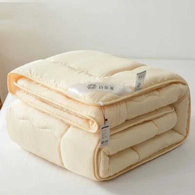 Home Thick Warm Quilt Four Seasons Student Futon Spring and Autumn Quilt Bedding Summer Cool Air Conditioning Quilt