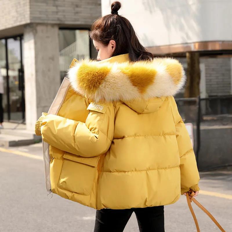 Winter Down Jacket Korean Loose Hooded Cotton Jacket Thick Warm Short Down Jacket