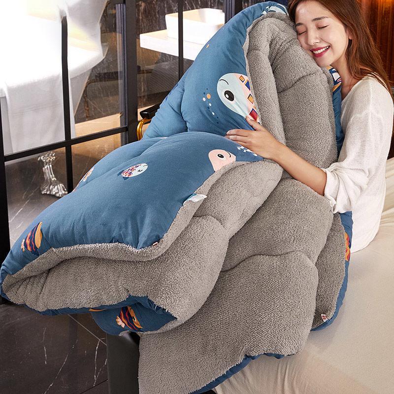 Winter Thick 5kg Lamb Velvet Quilt Spring and Autumn Single and Double Air Conditioning Quilt To Keep Warm In Winter