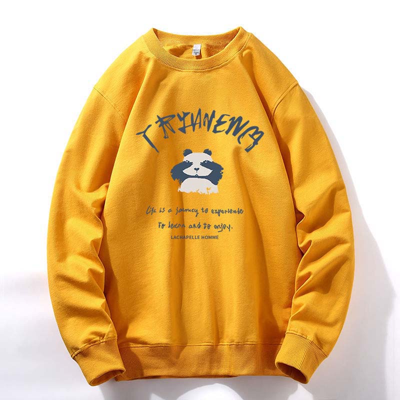 Autumn and Winter Youth Men's Round Neck Sweater Long-sleeved T-shirt Men Plus Velvet Jacket