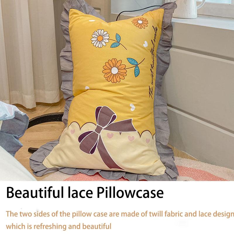 Four-piece Thick Brushed Bed Skirt Student Princess Style Sheet Duvet Cover Bedding