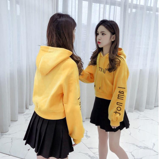 Gold Velvet Short Sweater Thickened Autumn and Winter All-match Blouse Embroidery Hooded Student Sweater Women