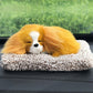 Cute Stuffed Simulation Animal Doll Sleeping Dogs Toy Sounding Toys Lovely Kids Soft Plush Birthday Gifts