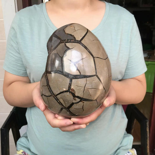 Large Septarian Nodule Natural Dragon Septarian Geode Quartz Egg Cluster Crystal  Healing Crystal Specimen 1pc