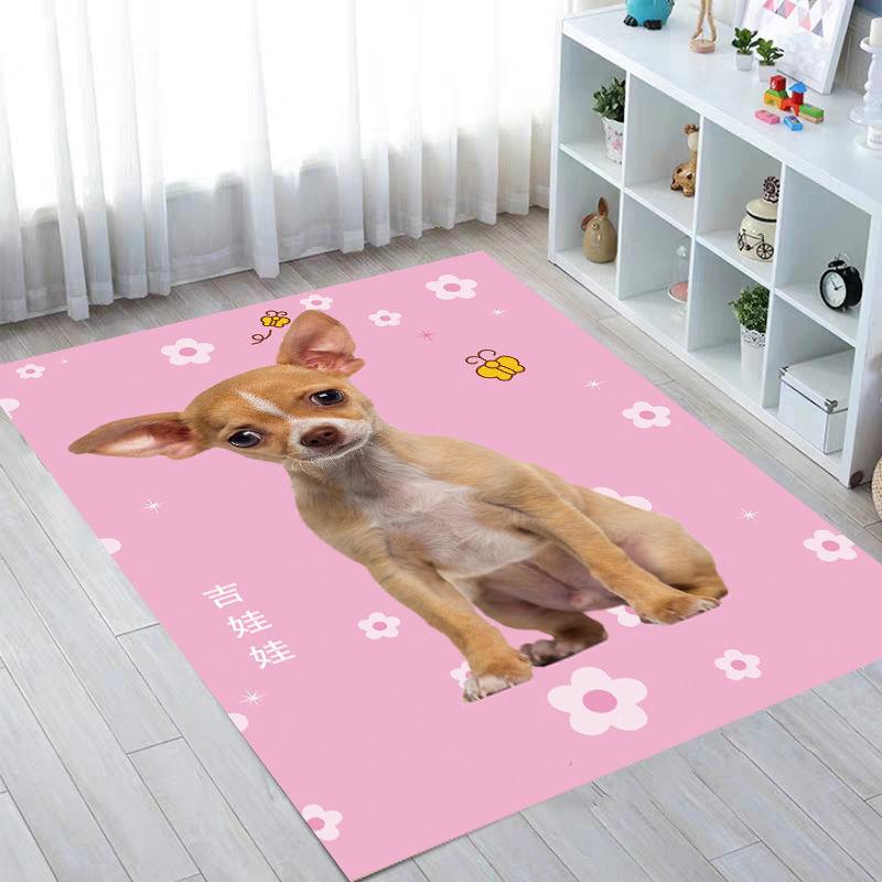 Pet-mat-paddle Dog Water Absorption Mat Cat Supplies Four Seasons Universal Spare Bite Anti-slip Carpet Floor Mat Sleep
