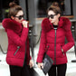 Winter Plus Size Slim-fit Cotton-padded Jacket Women's Short Section Was Thin, New Cotton-padded Jacket with Large Fur Collar Thickened Padded Jacket