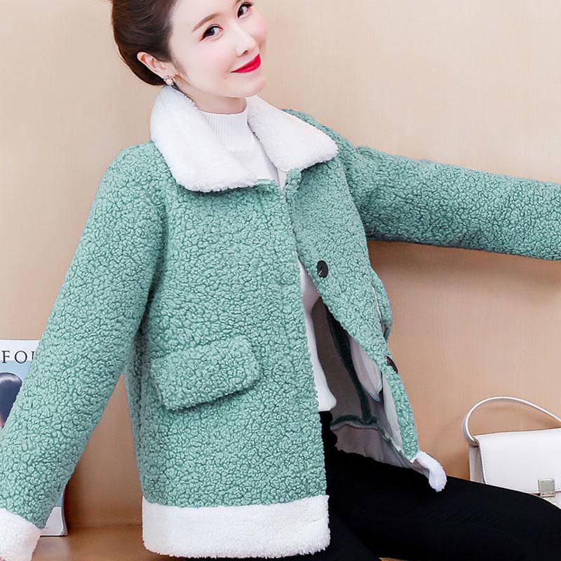 Lamb Wool Coat Female Autumn and Winter Korean Version Plus Velvet Color Matching Fur One Thickened Short Lamb Wool