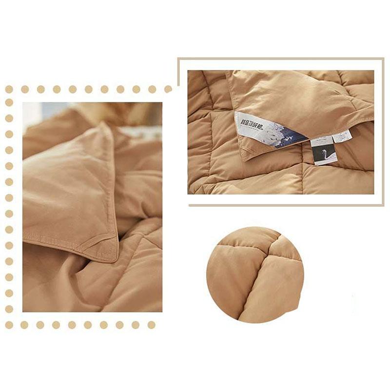 Five-star Hotel Special Down Quilt Winter Thickening Home White Goose Down Spring and Autumn Quilt for Students