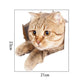 Lovely 3D Cat Wall Stickers Removable Durable WC Toilet Sticker Home Decoration Cartoon Animal Cute Window Bedroom Bathroom Kitchen Accessories