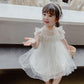Girls Fluffy Cake Dresses Mesh Skirt Embroidery Ruffle Kids Christmas Party Costume Birthday Tutu Gown Children Clothing